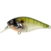 RIVER2SEA ISH MONROE BIGGIE POPPA 67 CRANKBAIT 28 BLUEGILL
