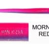 ROBOWORM FAT STRAIGHT TAIL WORM 4.5" MORNING DAWN RED FLK CHART/TAIL  qty 8  SK-HK3K