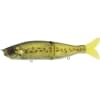 RIVER2SEA S-WAVER BABY BASS SW168S-06