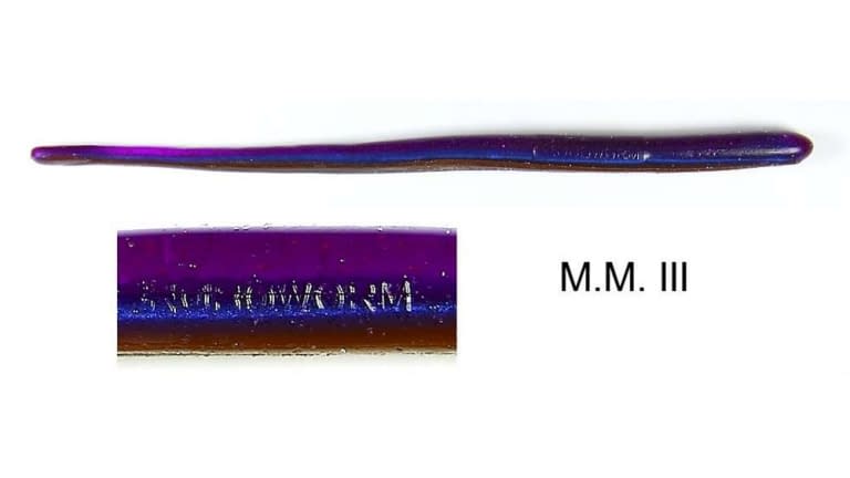 ROBOWORM STRAIGHT TAIL WORM 6" SR-B29F-10. qty 10. M.M.III