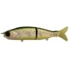 RIVER2SEA S-WAVER LAKE TROUT SW168S-01