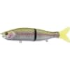 RIVER2SEA S-WAVER RAINBOW TROUT SW168S-02