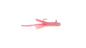 BERKLEY POWERBAIT ATOMIC TEASER PINK LADY  GLOW 3 CT