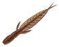 EVERGREEN BAITS C-4 LEECH GOBY