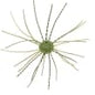 GEECRACK IMO KEMUSHI CUE BOMB 1.2" WEED SPECIAL