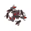 Battlestar Soft Candy Perch Bait DARK GREEN MORF QTY 12