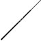 Daiwa Coastal SP Surf Spinning Rods CSP1002MFS 10'