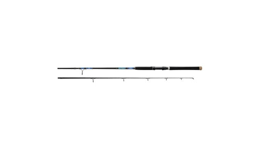 DAIWA BEEFSTICK SURF ROD 10' Medium Heavy 14-40lbs   BSS1002MHS