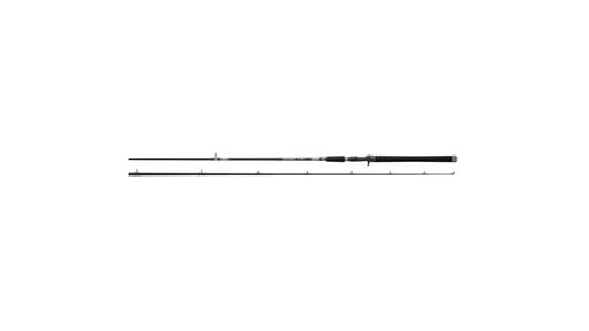 DAIWA BEEFSTICK SALMON STEELHEAD STRIPER CASTING ROD 9' 2PC