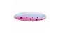 ACME FRESHWATER KASTMASTERS 1/8OZ RAINBOW TROUT  SW-105