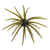 ANGLERS KING NISEMONO 25MM Green Pumpkin