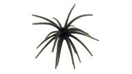 ANGLERS KING NISEMONO 25MM Watermelon Black