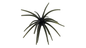 ANGLERS KING NISEMONO 25MM Watermelon Black