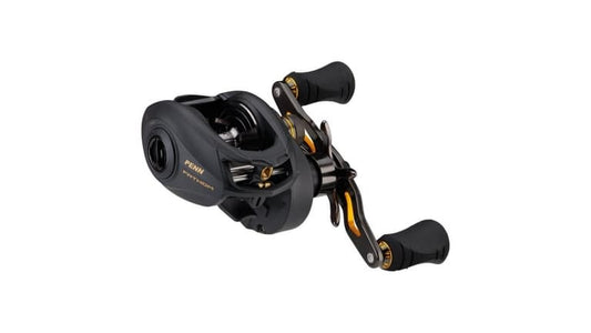 PENN FATHOM LOW PROFILE REEL   FTH300LPLH