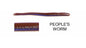 ROBOWORM FAT STRAIGHT TAIL WORM 6" PEOPLES WORM  qty 8  SF-A2AF-8