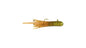 BERKLEY POWERBAIT ATOMIC NATURAL CARAMEL APPLE 3 CT