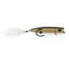 SNAG PROOF ZOO POP TENNESSEE SHAD  3/8OZ 2.75"