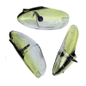 KRIPPLED ANCHOVY HEAD 3PK UNRIGGED Peter's Choice on UV