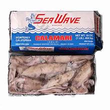 Frozen Squid