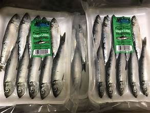 Blue Label Medium Anchovies